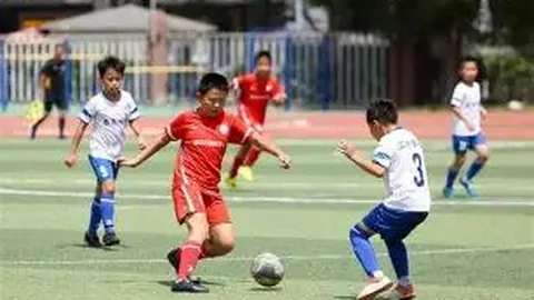 4月23日CBA季后赛：深圳对阵辽宁 沈梓捷亮点集锦